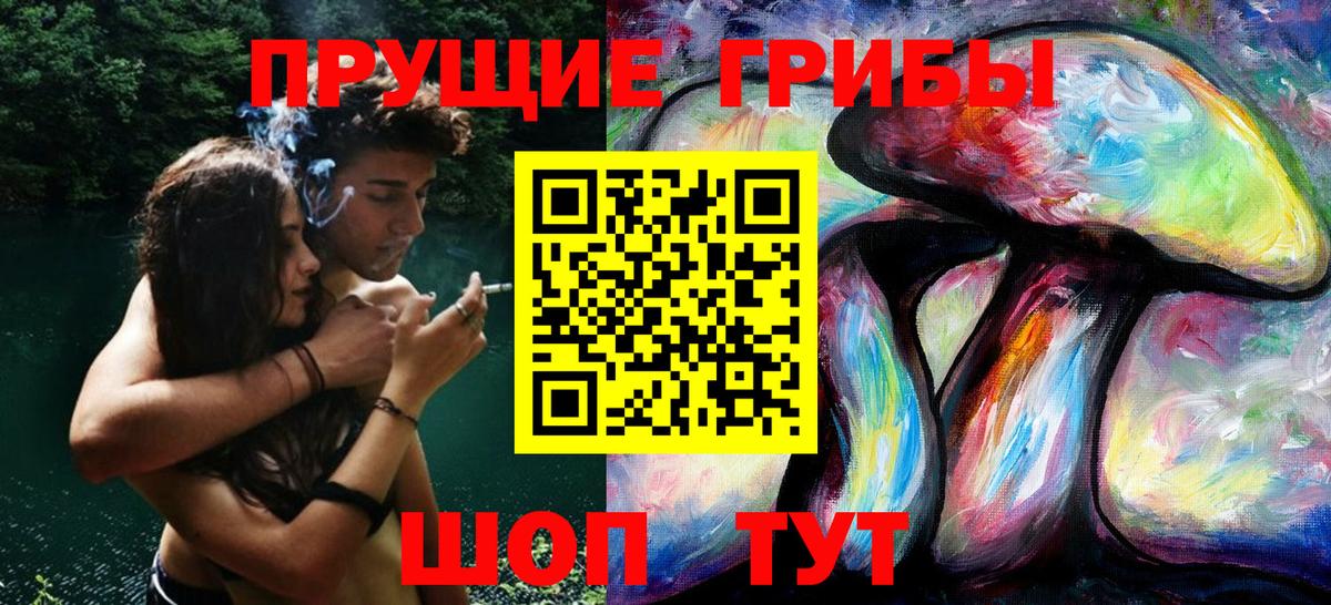 Псилоцибиновые грибы MAGIC MUSHROOMS  Вход с VPN  Клинцы 