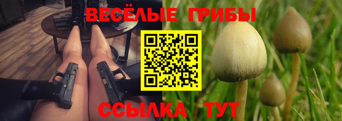 Псилоцибиновые грибы GOLDEN TEACHER Клинцы