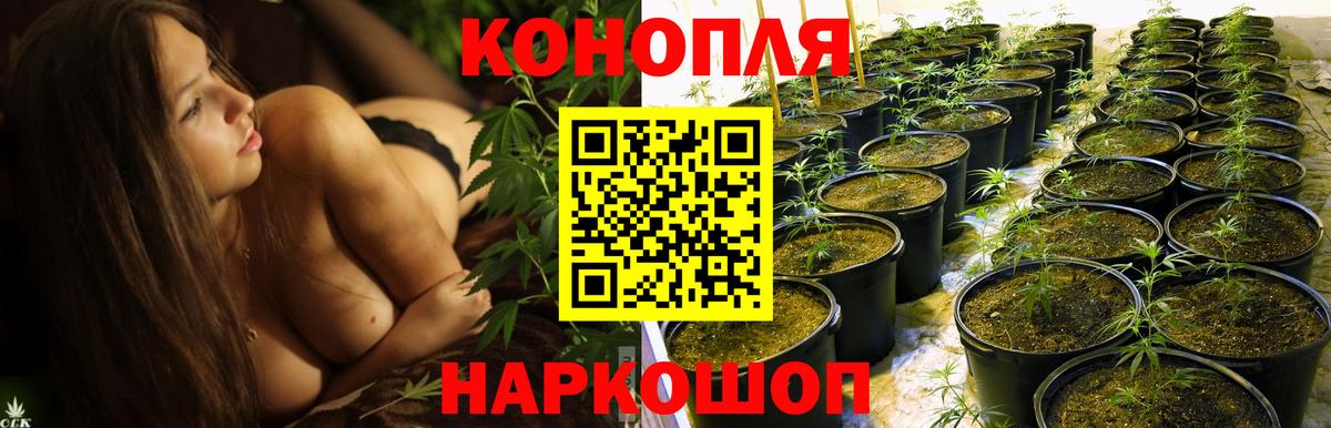Каннабис OG Kush  Бошки Шишки тримм  Клинцы  Марихуана THC 21%  Вход с VPN 